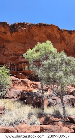 Red outback centre of Australia in Finke Gorge National Park Royalty-Free Stock Photo #2309909957