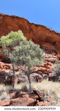Red outback centre of Australia in Finke Gorge National Park Royalty-Free Stock Photo #2309909959