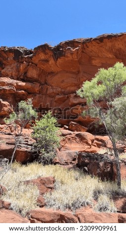Red outback centre of Australia in Finke Gorge National Park Royalty-Free Stock Photo #2309909961