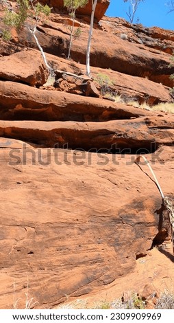 Red outback centre of Australia in Finke Gorge National Park Royalty-Free Stock Photo #2309909969