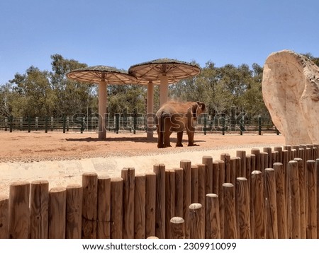 Pictures taken from the Rabat Zoo