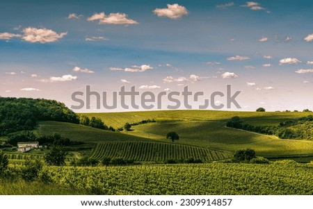 valley of vineyards in the cognac region of france Royalty-Free Stock Photo #2309914857