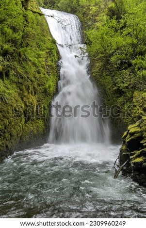 Bridal Veil Falls - A vertical full view of roaring Bridal Veil Falls on a stormy Spring day. Columbia River Gorge, Oregon, USA. Royalty-Free Stock Photo #2309960249