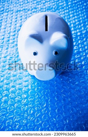 White porcelain piggy bank on blue bubble wrap