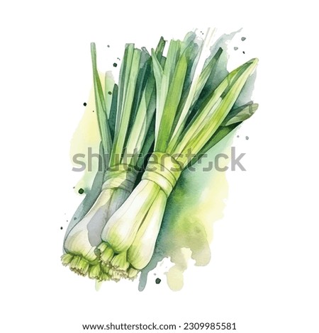 Leeks vector watercolor paint ilustration Royalty-Free Stock Photo #2309985581