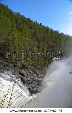 
Landscape in good weather in Norway. River on the rocks in the spring forest, Scandinavia