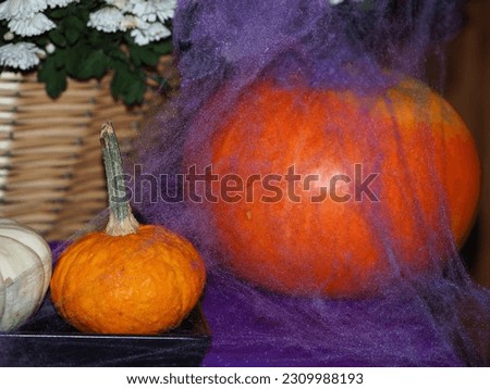 pumpkin for Halloween . lilac web . wicker basket with white flowers