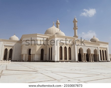 Biggest Mosque in the World Royalty-Free Stock Photo #2310007873