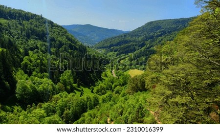 Green Fields,Hills.and Mountains - the nature in Hochschwarzwald ,Germany.