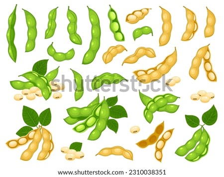 Raw soy bean, isolated soybean pods with leaves. Dry soybean pod with seeds, beans ripe legumes. Vegan diet protein nutrition ingredient, beans agriculture harvest Royalty-Free Stock Photo #2310038351