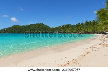 tropical beach and palm, Beautiful beach