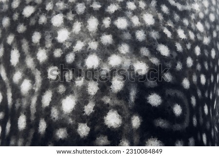 Organic shapes seamless pattern. Whale shark skin print texture.