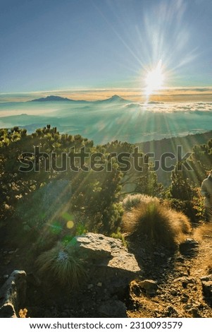 Beautiful sunrise landscape from the peak of a mountain named Pico del Aguila in Ajusco, Mexico