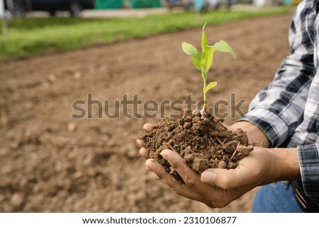 Human hand holding seed with soil on blurred agricultural field background : World Soil Day concept. Royalty-Free Stock Photo #2310106877
