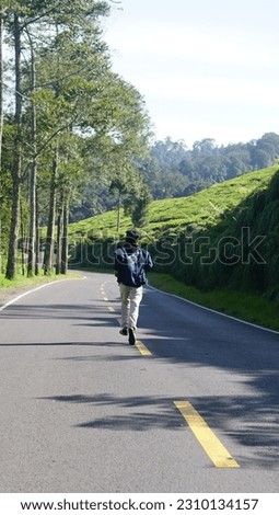 a tourist is walking and taking pictures between the tea gardens, image of green tea plantation with mountain view and clear sky