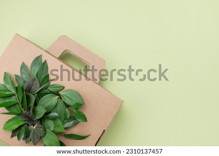 Eco cardboard box from recyclable organic materials with green leaves sprouts top view. Eco friendly cardbox packaging, zero waste and plastic free concept.
