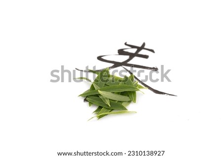 Spring characters composed of green leaves.The Chinese character in the picture means "spring"