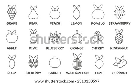 Vector set of fruit line icons. Thin line. Contains commonly used fruits. ESP 10.