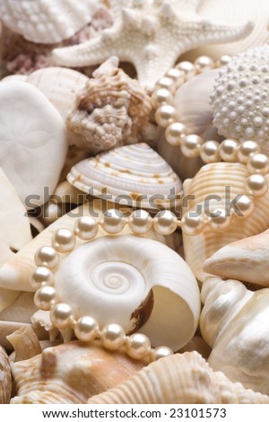 seashell background with pearls