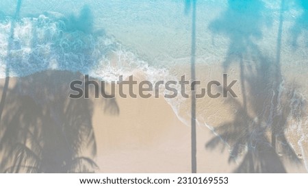 Summer palm tree  and Tropical beach with blue  sky background Royalty-Free Stock Photo #2310169553