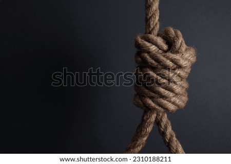 rope noose for hanging on a gray background Royalty-Free Stock Photo #2310188211