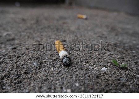 cigarette butts thrown carelessly on the ground