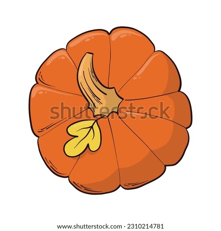 Hand drawn pumpkin, isolated element dor posters, prints, cards, stickers, sublimation, etc. EPS 10