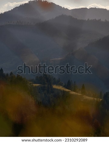 Colourful meadow on the hill, Zaovine, Serbia