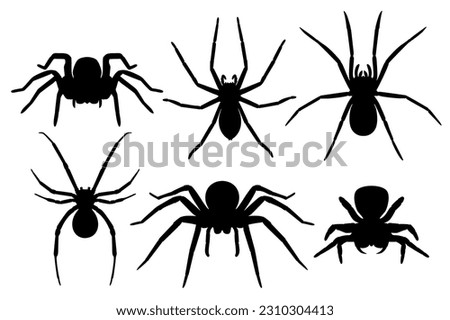 Set Vector collections black spider silhouette animal icon illustration