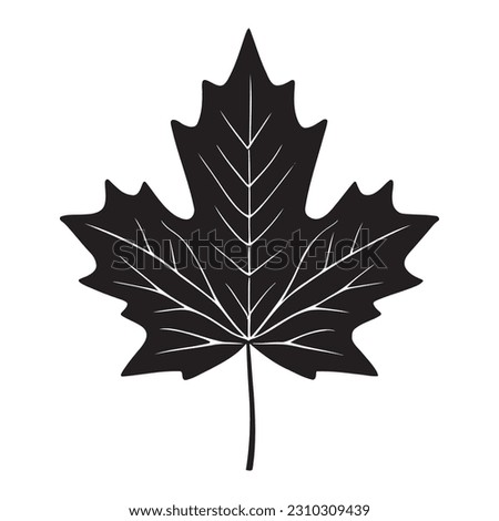 Maple leaf silhouette logo isolated on white background, vector icon Royalty-Free Stock Photo #2310309439