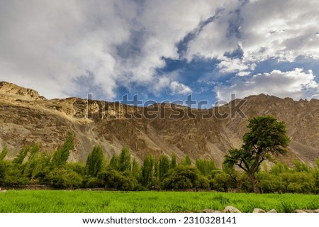 Landscape view of Turtuk village a beautiful small village,Leh,Ladakh,northern India,