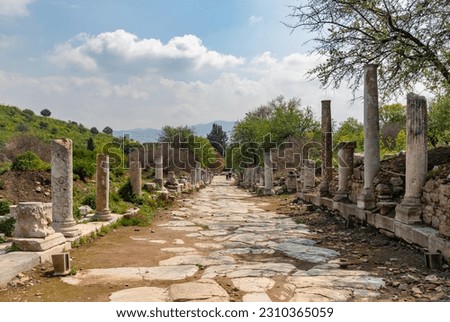 A picture of the street next to the Stage Agora at the Ephesus Ancient City.