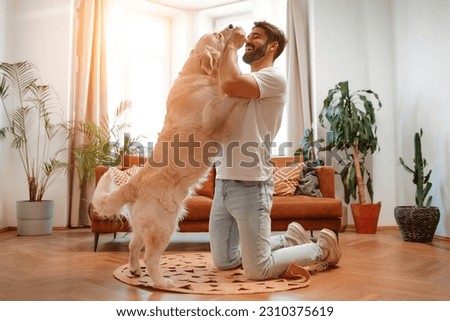 Handsome bearded man playing and training his labrador dog while sitting on the floor in the living room at home, having fun together. Royalty-Free Stock Photo #2310375619