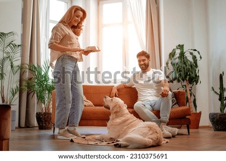 Feeding time! An adult woman brought a bowl of food to her pet Labrador dog. Couple in love with a dog in the living room at home having fun together. Royalty-Free Stock Photo #2310375691