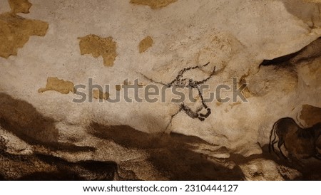 Rupestrian paintings insie cave in Lascaux, France