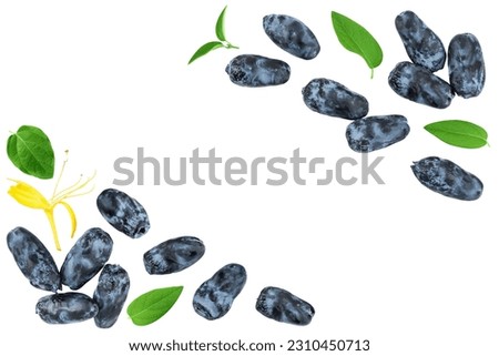 Fresh honeysuckle blue berry isolated on white background with full depth of field. Top view with copy space for your text. . Flat lay. Royalty-Free Stock Photo #2310450713
