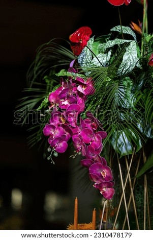 Birthday table decor and tropical floristry with orchids close up