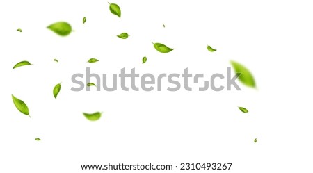 Green flying leaves wave. Organic cosmetic background. Natural herbal tea. Vegan, eco, bio design element. Leaf falling. Summer foliage ornament. Beauty product. Healthy food. Vector illustration.