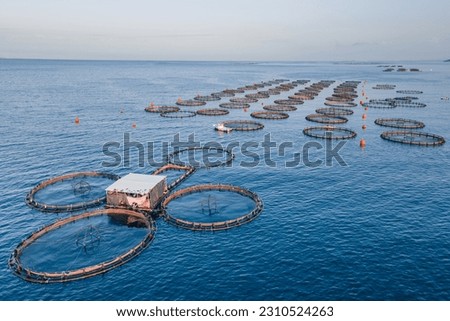 Offshore floating fish farming cages in open sea. Aquaculture fish farm, aerial view