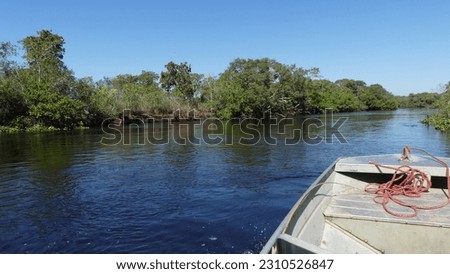 Pantanal waters displaying their beauty on a sunny day