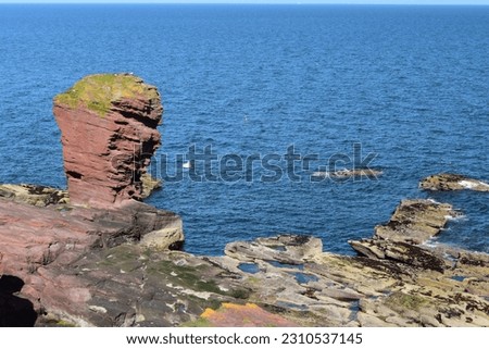 The "Deil's Head" sea stack on a wave-cut platform on a summer day at Seaton Cliffs, Arbroath on the North Sea coast, Scotland. Royalty-Free Stock Photo #2310537145