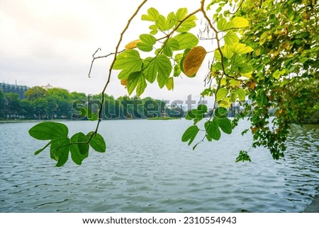 Hoan Kiem Lake ( Ho Guom) or Sword lake in the center of Hanoi with clear sky. Hoan Kiem Lake is a famous tourist place in Hanoi. Travel and landscape concept. Selective focus.