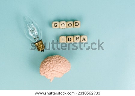 Brain and light bulb. Brainstorming, creative idea, abstract icon. Place for text. The brain generates ideas. Concept photo. Symbol of creativity, creative idea, mind, thinking. Good idea