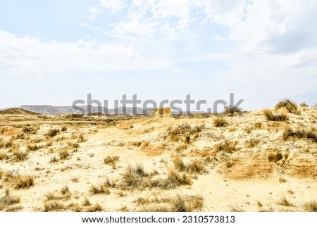 view of the beach, photo as a background, digital image