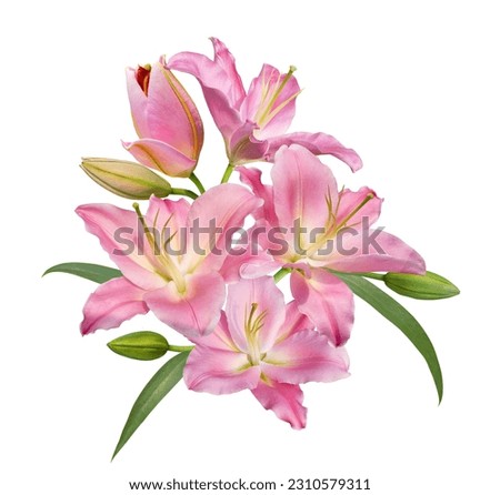 Beautiful pink lily flower bouquet isolated on white background Royalty-Free Stock Photo #2310579311