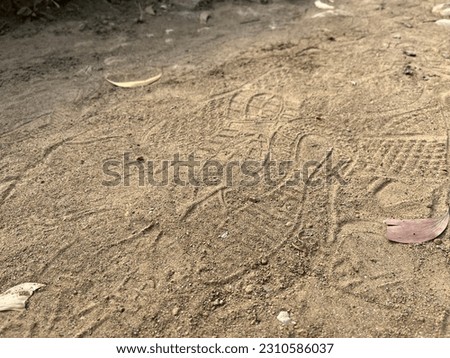 Top view of various shoe and boot prints on dirt in the park