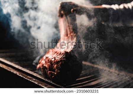 This captivating stock photography encapsulates the art of fish and meat preparation in an enchanting outdoor kitchen setting.