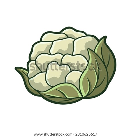 Free vector cute cabbage fruit and vegetable hand drawn style
