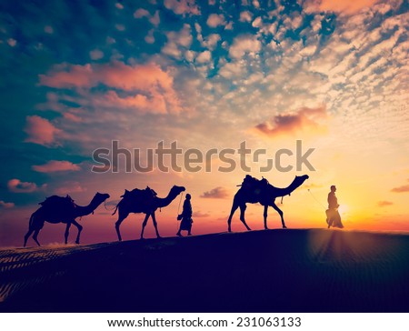 Vintage retro effect filtered hipster style image of  Rajasthan travel background - two indian cameleers with camels silhouettes in Thar desert dunes on sunset. Jaisalmer, Rajasthan, India Royalty-Free Stock Photo #231063133