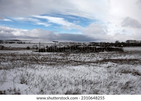 Winter frosty day. A snow-covered meadow with dry plants. Black bushes and trees. Village in the distance. The cloudy sky with blue gaps.